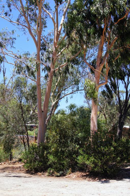 Floravalley Bed & Breakfast Toodyay Екстериор снимка