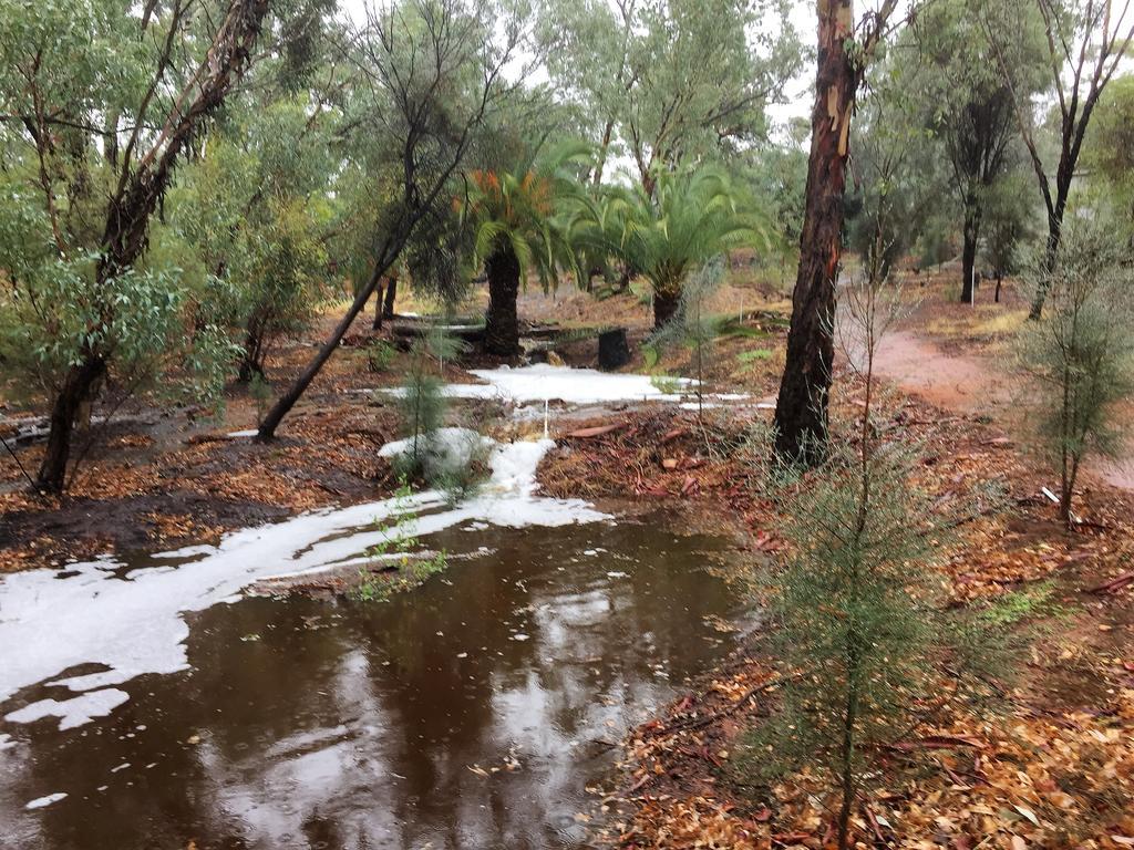 Floravalley Bed & Breakfast Toodyay Екстериор снимка